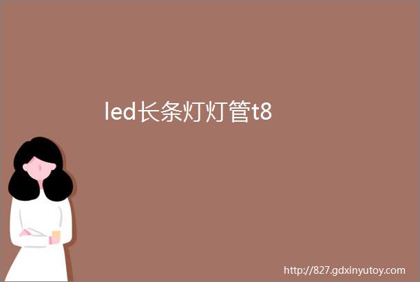 led长条灯灯管t8