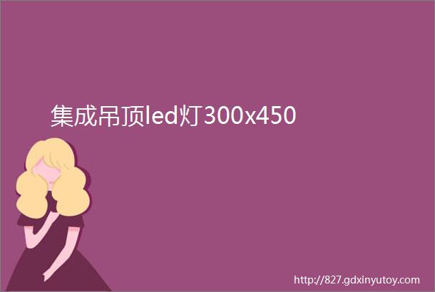 集成吊顶led灯300x450