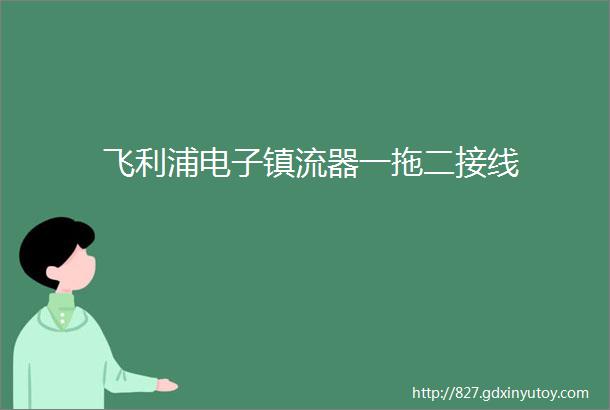 飞利浦电子镇流器一拖二接线