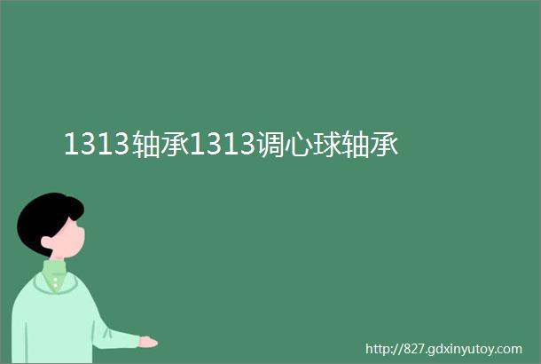 1313轴承1313调心球轴承