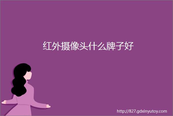 红外摄像头什么牌子好