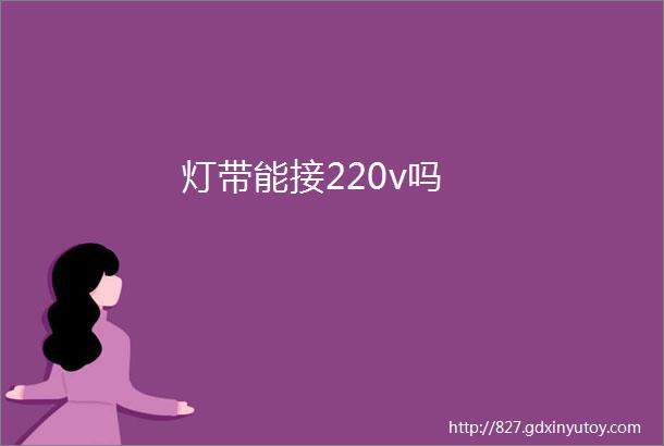 灯带能接220v吗