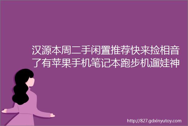 汉源本周二手闲置推荐快来捡相音了有苹果手机笔记本跑步机遛娃神器衣柜小冰箱鱼缸游戏机等等