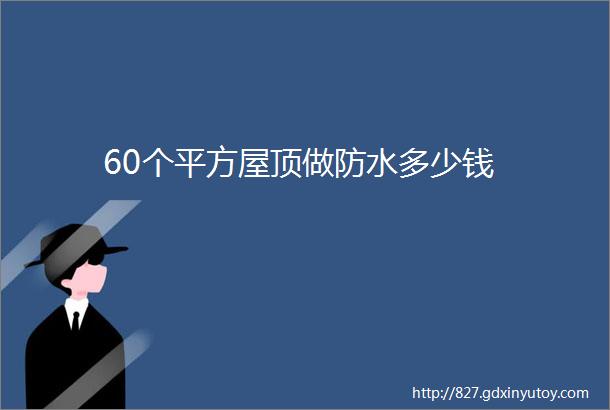 60个平方屋顶做防水多少钱