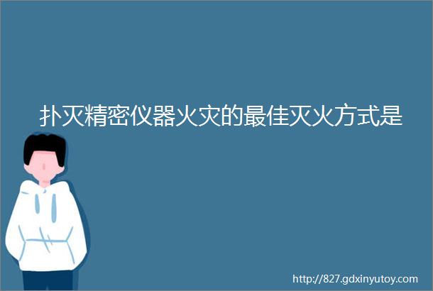 扑灭精密仪器火灾的最佳灭火方式是