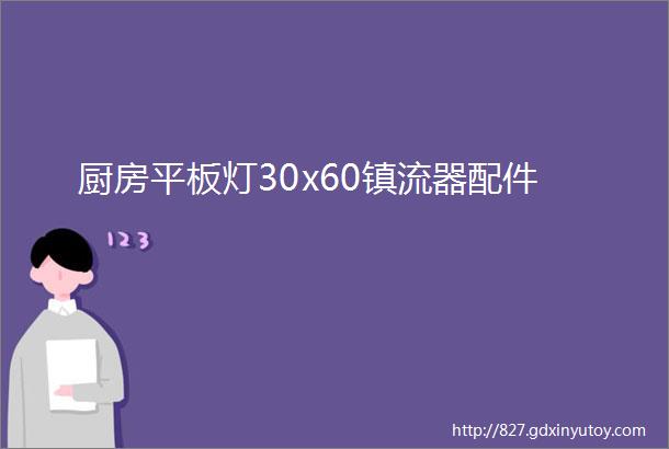 厨房平板灯30x60镇流器配件