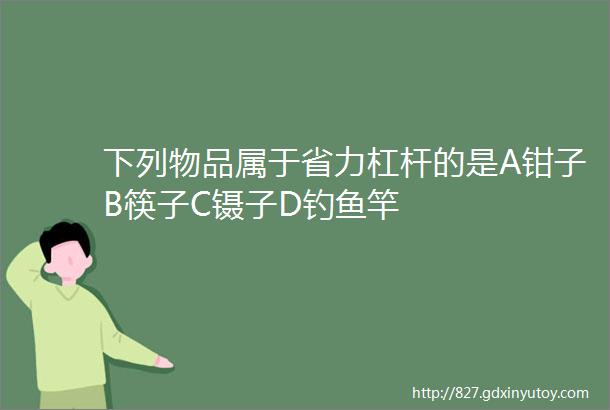 下列物品属于省力杠杆的是A钳子B筷子C镊子D钓鱼竿