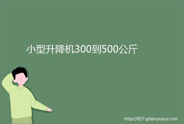 小型升降机300到500公斤